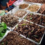 640px-Insect_vendor_in_Bangkok_Thailand-150x150.jpg